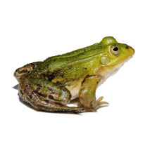 0500pr58-318b-213x201.png
