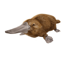 0500pr5f-e5b6-215x204.png