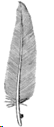 0500ptl3-060e-54x127.png
