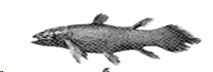 0500ptyx-970a-213x72.png