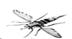 0500pu24-6d87-150x82.png