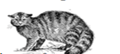 0500pu37-72be-174x79.png