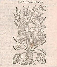 0500puv1-5b09-220x258.jpg