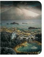 0500puw0-2514-157x202.png