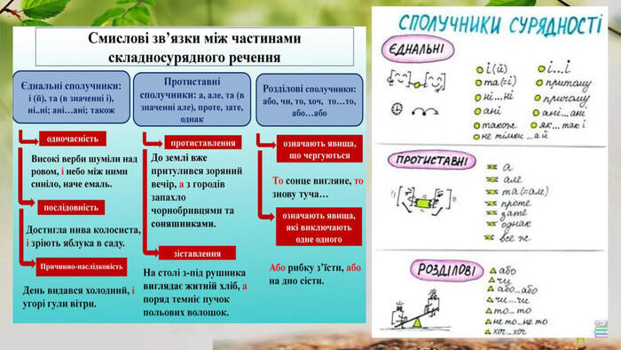Презентація "Складносурядне речення, його будова й засоби зв'язку між його частинами."