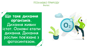 Урок на тему "Що таке дихання організмів. Дихання живих істот. Основні етапи дихання. Дихання рослин пов’язане з фотосинтезом." (Конспект, презентація, робочі картки для учнів, STEM-проект "Легені")