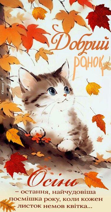 0500pzga-5192-376x720.jpg