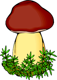 0500pzom-f6d7-190x265.png