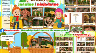 Gra dydaktyczna "Grzyby  jadalne i niejadalne" польська мова, таблиця гриби -їстівні і неїстівні, 30 карт грибів, кошик