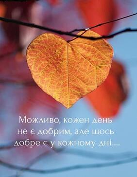 0500q29q-6d97-282x364.jpg