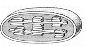 0500q394-9754-302x161.png