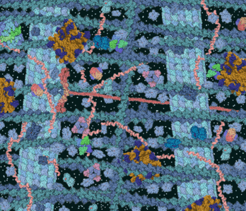 0500q39r-48d4-348x299.png
