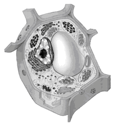 0500q3it-f901-384x425.png