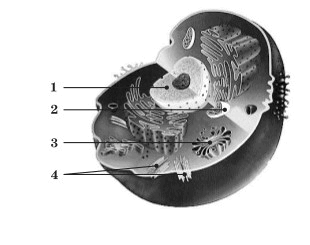 0500q3t3-734f-310x245.png