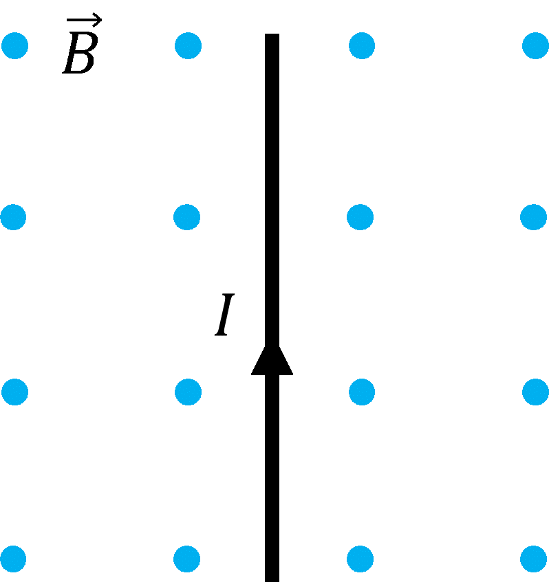 0500q6el-caae-798x847.png