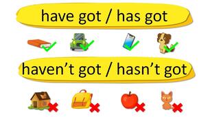 Grammar TEST "Have got: affirmative and negative" (Prepare 5, NUS)