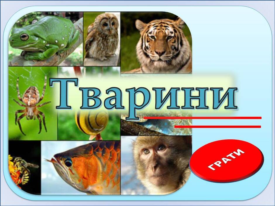 0500q92j-2ae4-940x705.jpg
