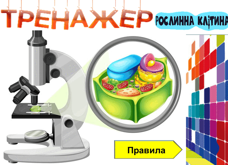 0500qc2o-7c02-901x652.png