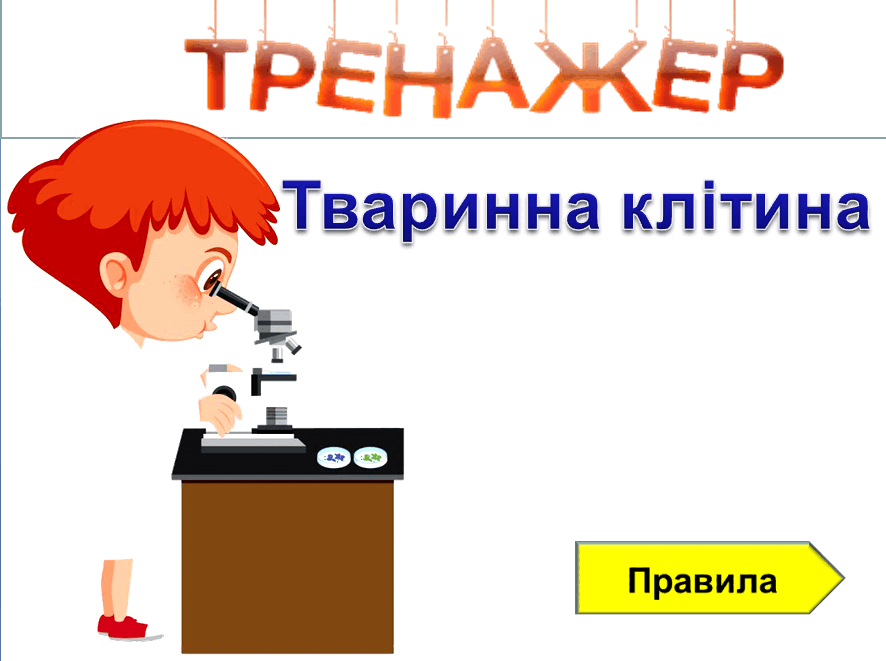 0500qc2u-55b5-886x661.png