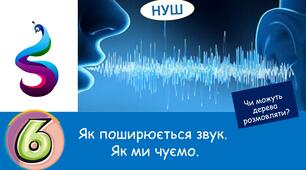 Презентація на тему: Як ми чуємо ? Чи можуть дерева розмовляти?