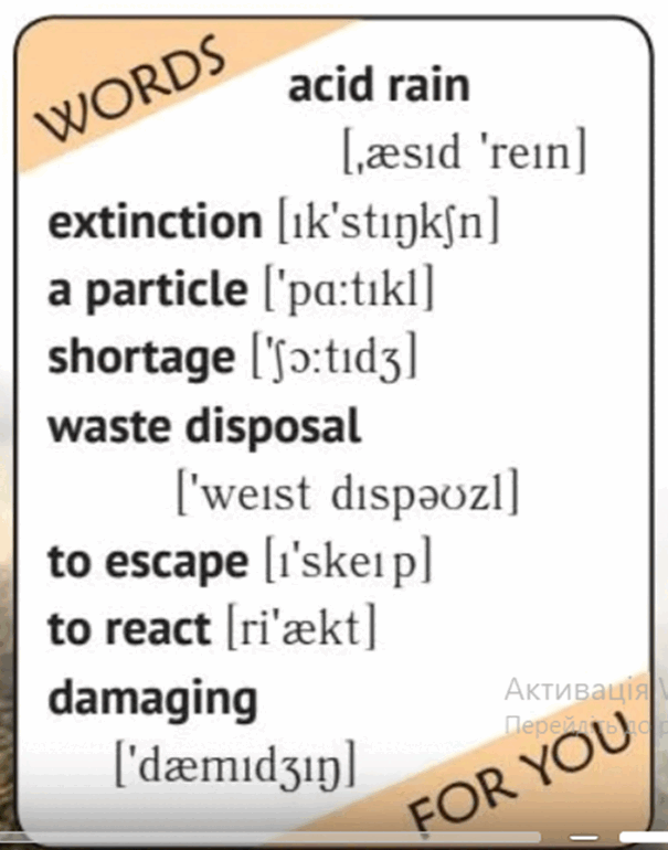 0500qcup-adaf-605x770.png