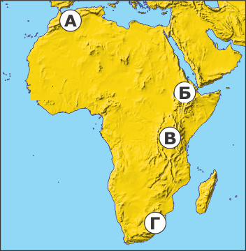 0500qec8-e453-352x360.png