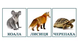 Розвиваючі картки Домана "Тварини"