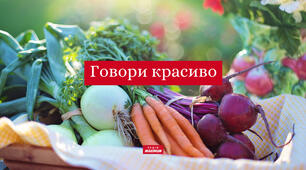Презентація "СТРАВИ УКРАЇНСЬКОЇ КУХНІ"