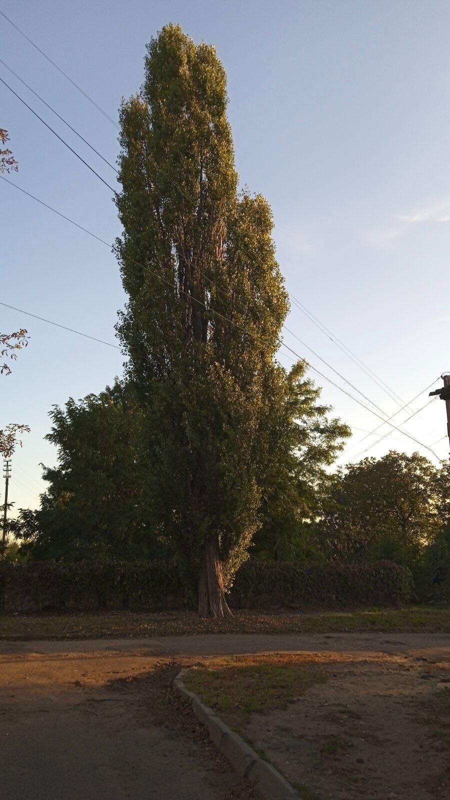 0500qjdk-d94e-900x1600.jpg