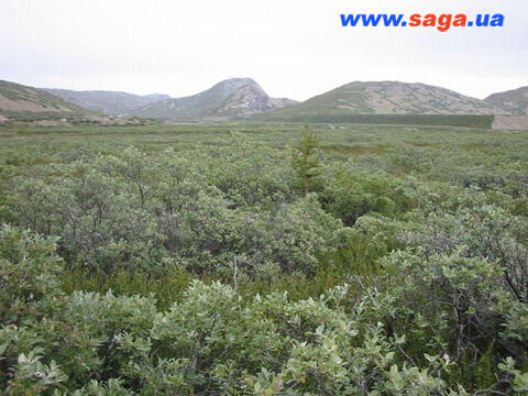 0500qji7-9df9-480x360.jpg