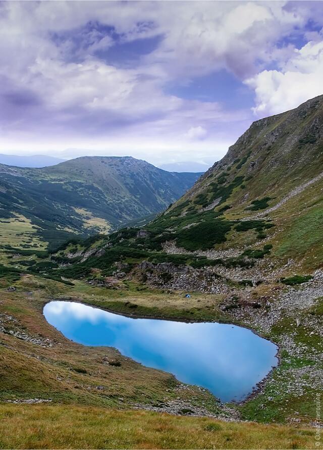 0500qjvx-d859-640x892.jpg