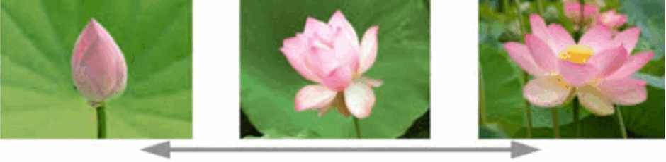 0500qncy-0501-940x230.png