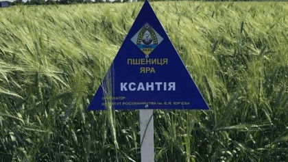 0500qnej-11d6-420x237.png