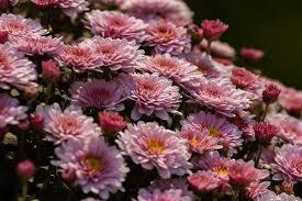 0500qoap-d813-275x183.jpg