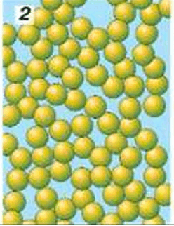 0500qpgc-42b9-248x322.png
