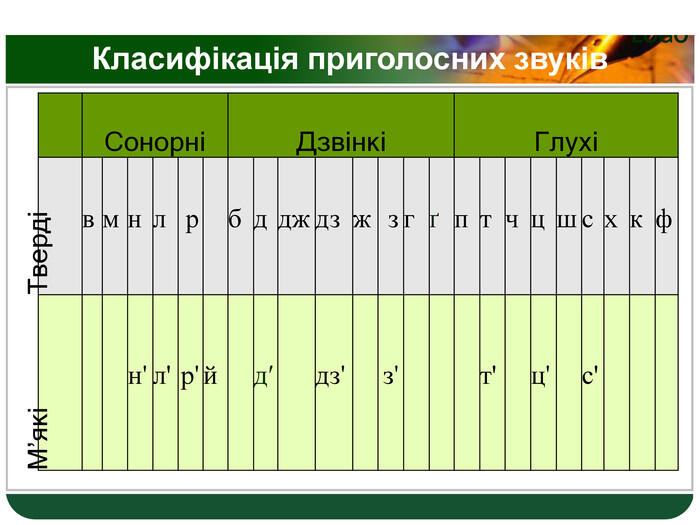 СонорніДзвінкіГлухіТвердівмнлрбддждзжзгґптчцшсхкф. М’якін'л'р'йд′дз'з'т'ц'с'Класифікація приголосних звуків