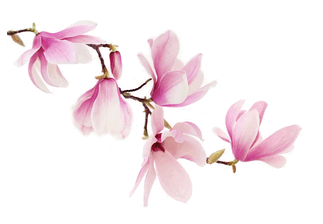 0500qw1d-1980-323x224.png