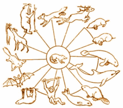 0500qwlw-2f00-396x349.png
