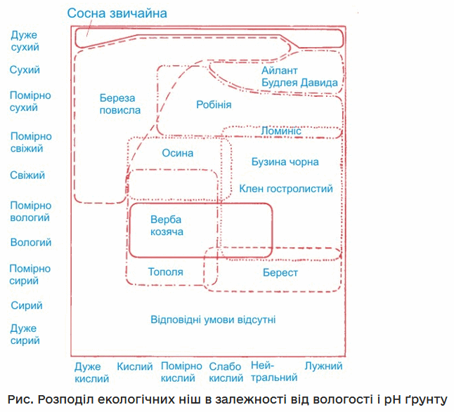 0500qwtu-96e1-646x587.png