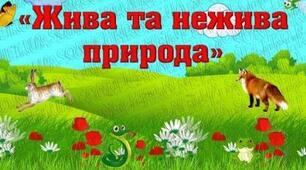 Жива і нежива природа