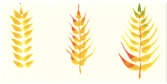 0500qxgr-90c7-582x293.png
