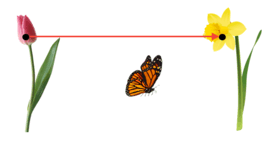 0500qyrn-2393-274x146.png