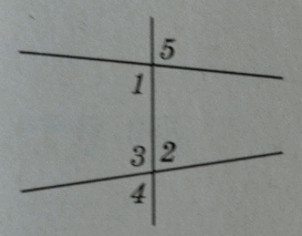 0500r26d-c81a-273x213.png