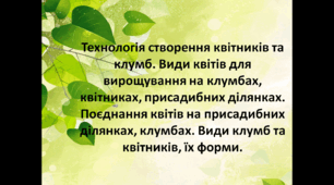 Технологія створення квітників та клумб. Види квітів для вирощування на клумбах, квітниках, присадибних ділянках.