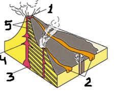0500rdul-3981-273x211.png