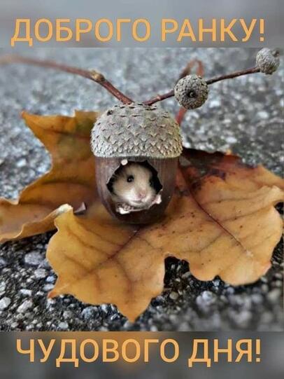 0500relj-db6f-406x541.jpg