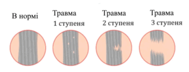 0500rewh-9d2b-276x106.png