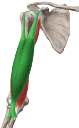0500rf4d-1f01-269x435.png