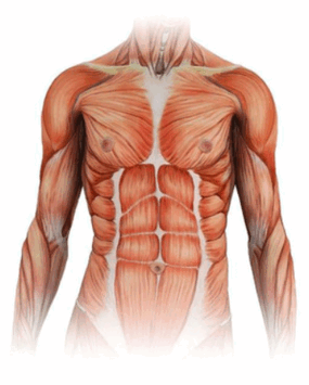 0500rf6d-cdde-285x355.png