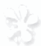 0500rfn3-b3ba-59x66.png